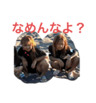 ひよひま＆愉快な子供たち（個別スタンプ：14）