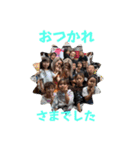 ひよひま＆愉快な子供たち（個別スタンプ：16）