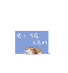 人生は難しい、猫になりたい（個別スタンプ：11）