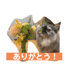 おおしま家のはるちゃん（個別スタンプ：2）