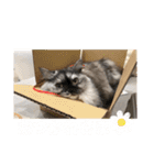 おおしま家のはるちゃん（個別スタンプ：10）