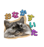 おおしま家のはるちゃん（個別スタンプ：11）