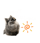 おおしま家のはるちゃん（個別スタンプ：15）