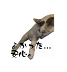 にしつじくららのスタンプ2（個別スタンプ：15）
