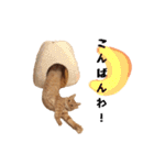 茶トラのこたつくん（個別スタンプ：9）