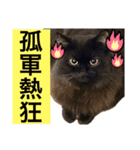 黒猫 ルナ院長133にゃんめ（個別スタンプ：7）