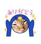 ゴンちゃん  ❷（個別スタンプ：14）