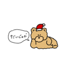 teddy bear masashi 2（個別スタンプ：31）