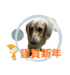 丁寧語ダックス（個別スタンプ：32）