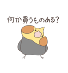 [家族連絡用]オカメインコノーマルの買い物（個別スタンプ：2）