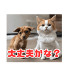 犬と猫のスタンプ12（個別スタンプ：3）