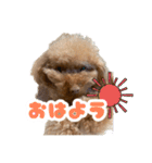 ぼくりっく！ 2（個別スタンプ：5）