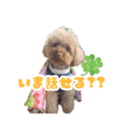 ぼくりっく！ 2（個別スタンプ：7）