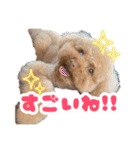 ぼくりっく！ 2（個別スタンプ：10）