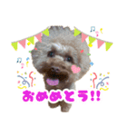 ぼくりっく！ 2（個別スタンプ：11）