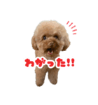 ぼくりっく！ 2（個別スタンプ：13）