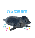アザラシランド2（個別スタンプ：2）