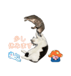 しらたまとこんにゃく③（個別スタンプ：6）