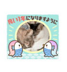 しらたまとこんにゃく③（個別スタンプ：16）