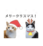 うちのねこ(イベント系)（個別スタンプ：8）