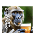 とりあえずビールな酒好きモヒカン猿（個別スタンプ：21）