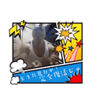 のぶで〜す（個別スタンプ：9）