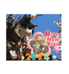 ハチワレはっちゃん2024（個別スタンプ：5）