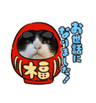 ハチワレはっちゃん2024（個別スタンプ：17）