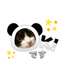 ハチワレはっちゃん2024（個別スタンプ：21）