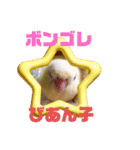 連続インコドラマ〜ポエ子寮〜その1（個別スタンプ：7）