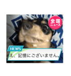 M.ダックス(チャッピー2)（個別スタンプ：7）