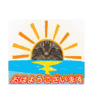 ウチの猫   マンチカンのスプリンクル（個別スタンプ：2）