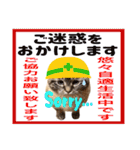 ウチの猫   マンチカンのスプリンクル（個別スタンプ：34）
