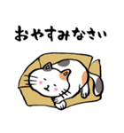 筆で書いたかわいい猫ちゃんスタンプ（個別スタンプ：9）