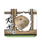うちのハムスターが可愛すぎる件について（個別スタンプ：5）