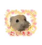 うちのハムスターが可愛すぎる件について（個別スタンプ：17）