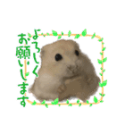 うちのハムスターが可愛すぎる件について（個別スタンプ：18）