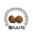 うちのハムスターが可愛すぎる件について（個別スタンプ：24）