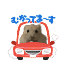 うちのハムスターが可愛すぎる件について（個別スタンプ：28）