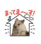うちのハムスターが可愛すぎる件について（個別スタンプ：29）