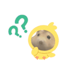 うちのハムスターが可愛すぎる件について（個別スタンプ：31）