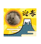 うちのハムスターが可愛すぎる件について（個別スタンプ：35）