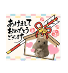 うちのハムスターが可愛すぎる件について（個別スタンプ：38）