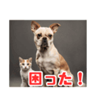 犬猫スタンプ11（個別スタンプ：8）