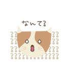 ねこらしいねこ（個別スタンプ：5）