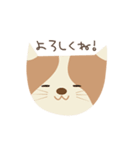 ねこらしいねこ（個別スタンプ：7）