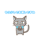 幸ねこくん 年末年始（個別スタンプ：22）