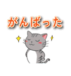 字が大きく見やすいスタンプねこ 年末年始（個別スタンプ：20）