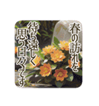 季語のある丁寧な挨拶（12～2月）（個別スタンプ：18）