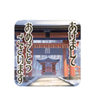 季語のある丁寧な挨拶（12～2月）（個別スタンプ：29）